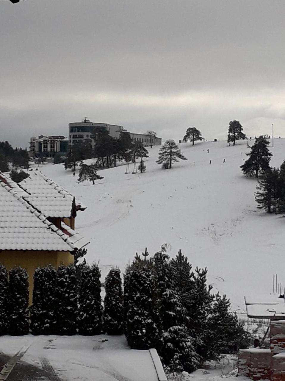 Hotel Apartman Gogi Zlatibor Exteriér fotografie